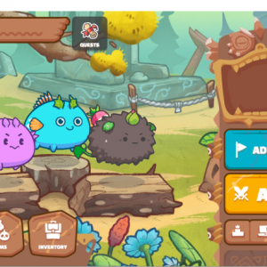 Axie Infinity 入门教程：游戏及工具准备篇（下）
