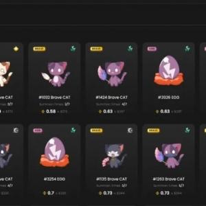 DNAxCAT（九藏猫）新手入门攻略教程（详细图文实操）