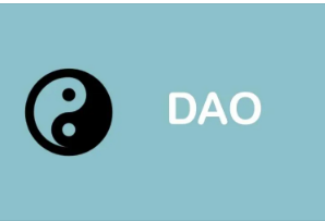 我们对 DAO 的真实意图