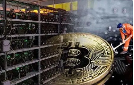 从链上数据看加密行情的新变化