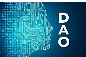 VC 综述：区块链游戏、DAO 管理和资产代币化的兴起