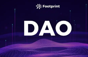 加密精英的傲慢： 深度批判 DAO 的七宗罪