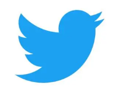 Twitter向马斯克提供有关垃圾邮件，虚假账户的内部数据