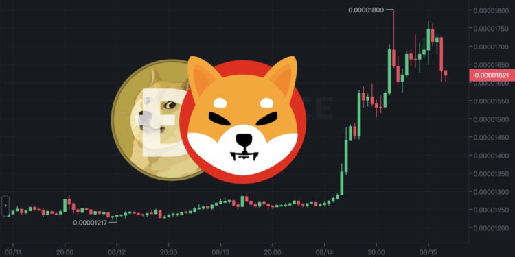 MEME板块暴涨!SHIB暴涨40%市值超AVAX 狗狗币也上涨17% MEME板块暴涨!SHIB暴涨40%市值超AVAX 狗狗币也上涨17%