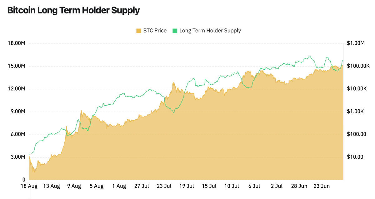 Bitcoin Long-Term Holders