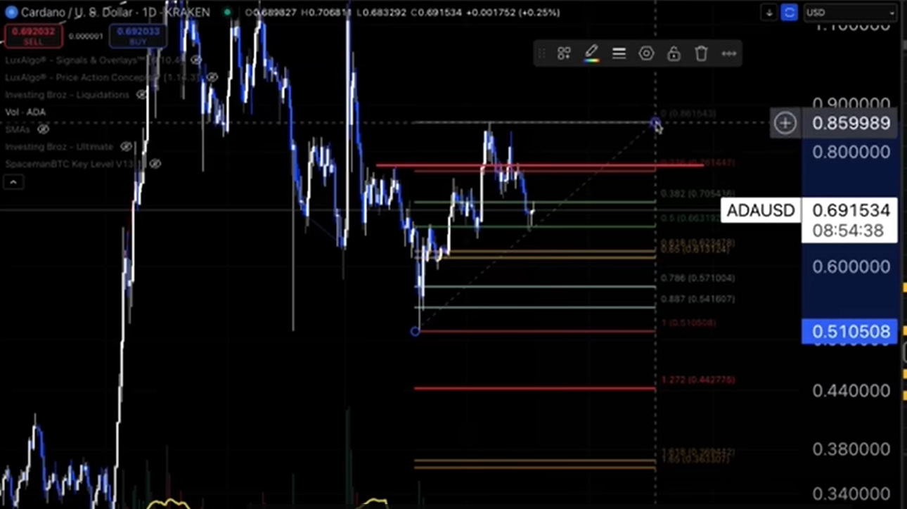 Cardano Chart Analysis Warren
