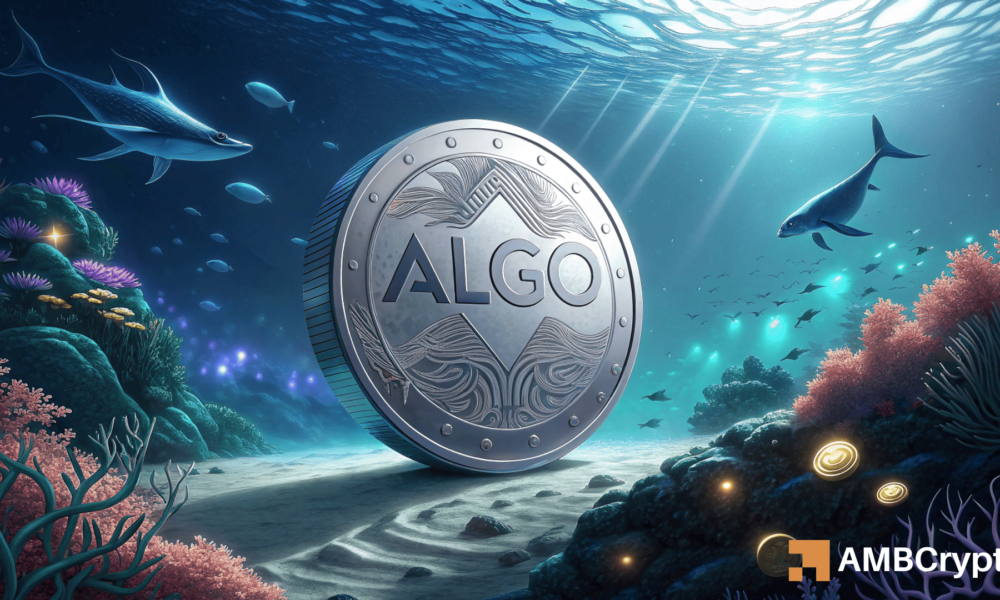 
                        Algorand 交易量激增 66% 且波动性较低：ALGO 是否会飙升？
                    