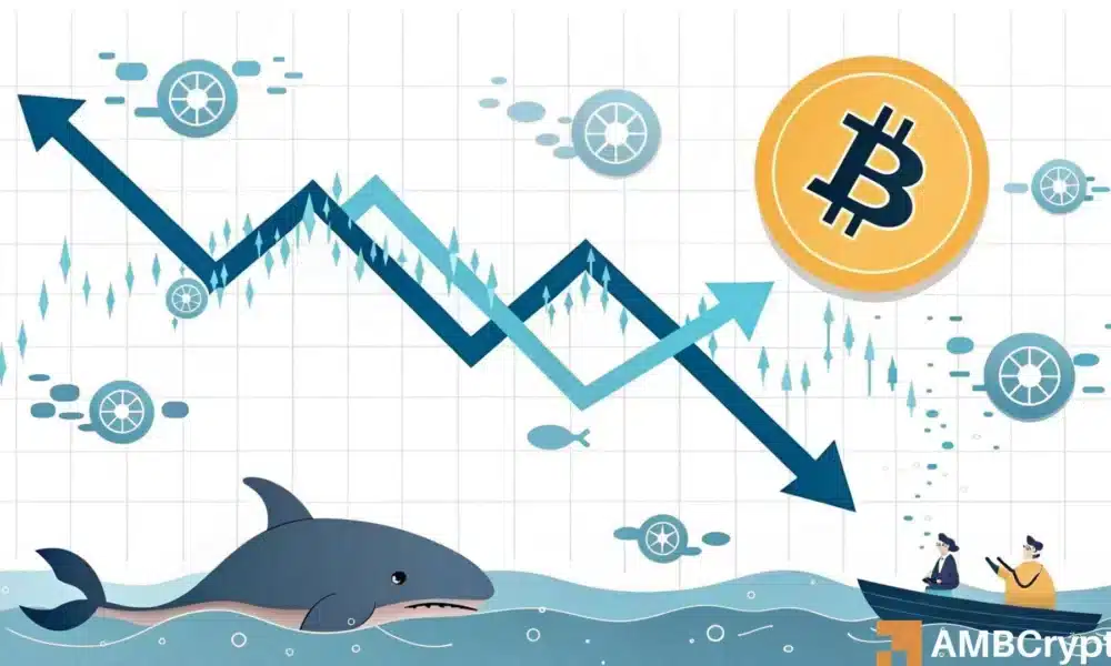 
                        比特币&mdash;&mdash;这一&ldquo;历史新低&rdquo;对比特币价格走势意味着什么
                    