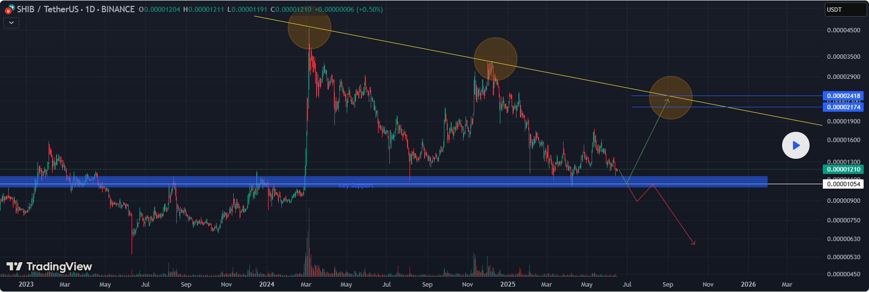 Shiba Inu Price Prediction