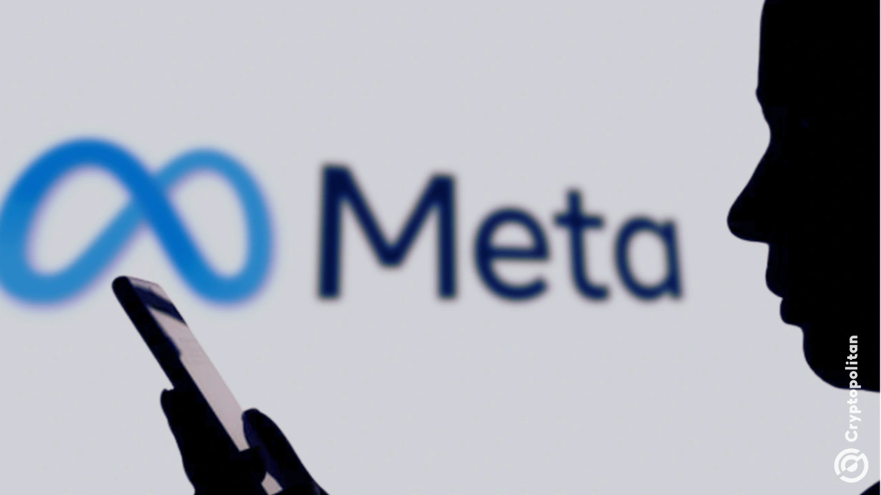 
                        Meta 终于在 WhatsApp 平台上引入了广告
                    