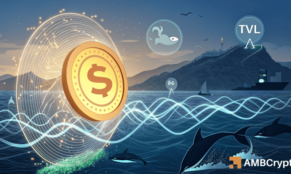 
                        Sonic DEX 交易量上涨 17% &ndash; 但这可能预示着趋势逆转
                    