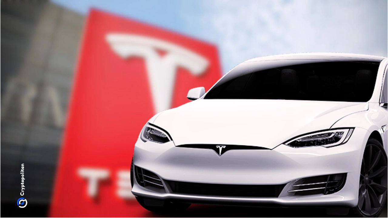 
                        报道称 Cybertruck 和 Model Y 停产后，特斯拉股价暴跌
                    