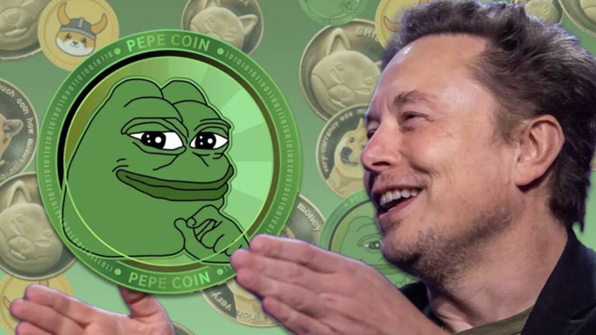 
                        埃隆&middot;马斯克在 X 上分享表情包后，Pepe 股价上涨
                    