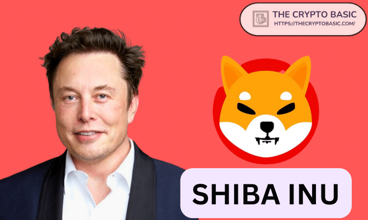 
                        如果 SHIB 与 Elon Musk 的净资产相匹配，那么 1 只柴犬的价格如下
                    