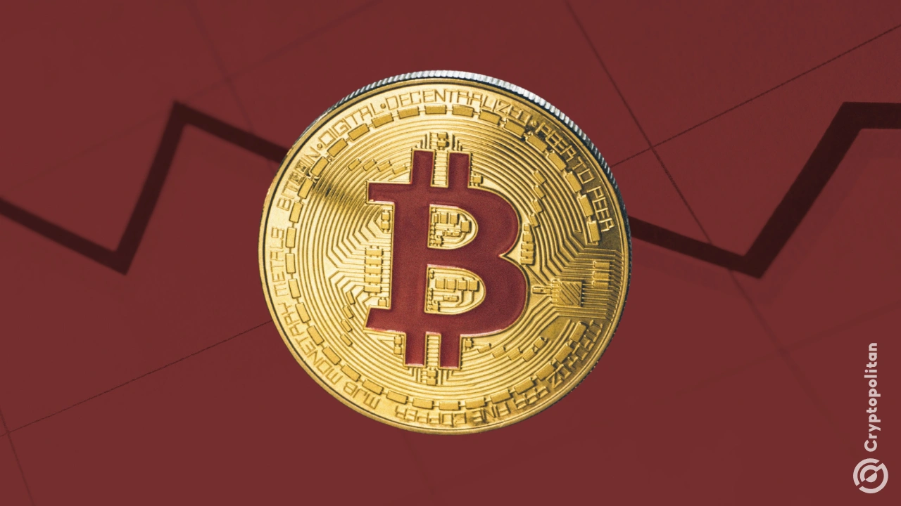 
                        比特币的下一步走势可能引发 10 亿美元的损失
                    