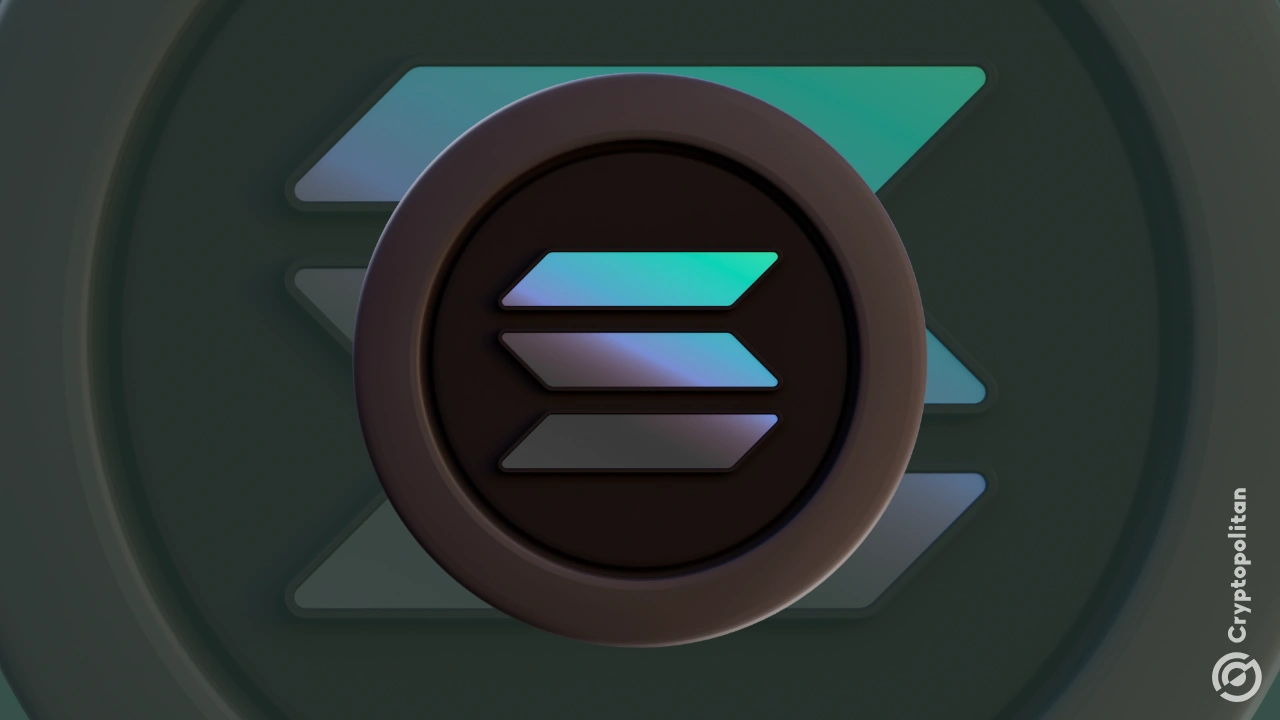 
                        链上 Solana 清算统计数据证实 SOL 交易已转向 DEX
                    