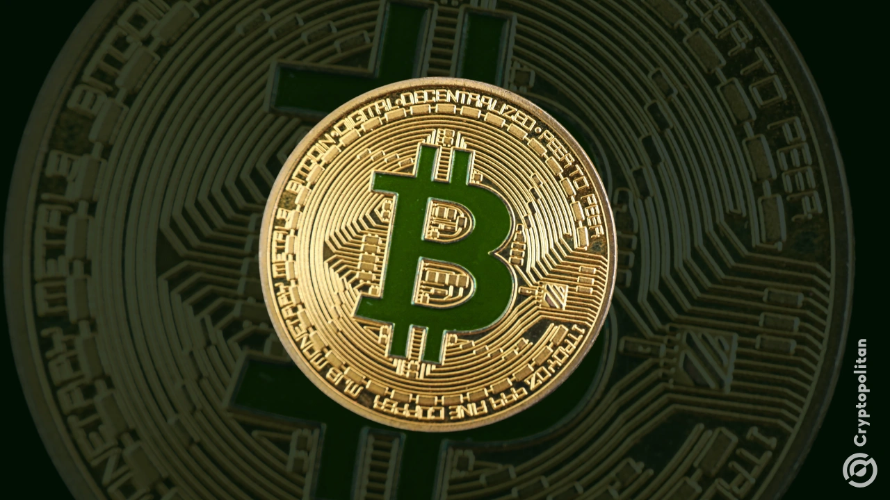 
                        加密货币基金流入连续 10 周，比特币引领年初至今 151 亿美元的增长
                    