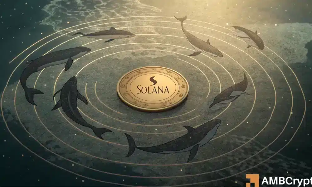 
                        Solana 陷入困境？为何 SOL 的 200 美元梦想仍受阻
                    