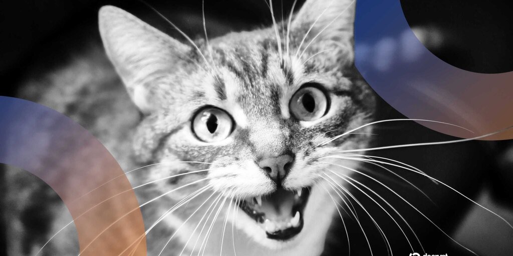 
                        AI能破解猫咪密码吗？百度认为可以
                    