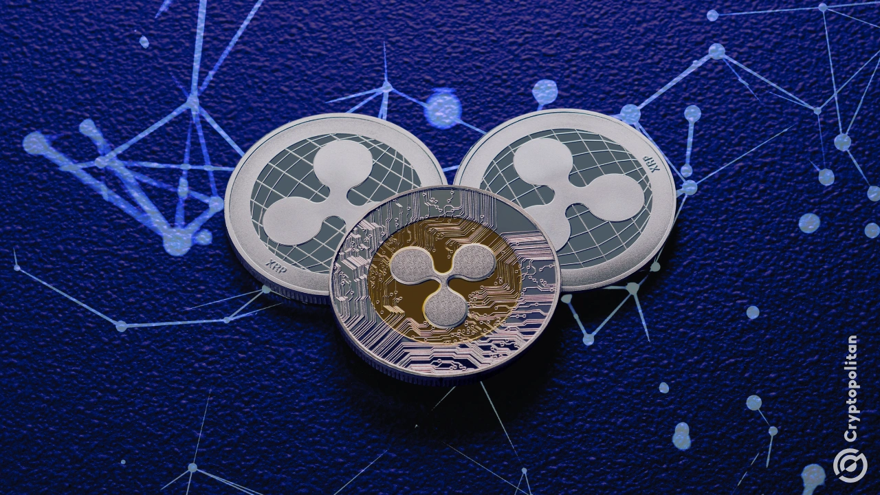 
                        XRP 账本推出重大软件更新 2.5.0
                    