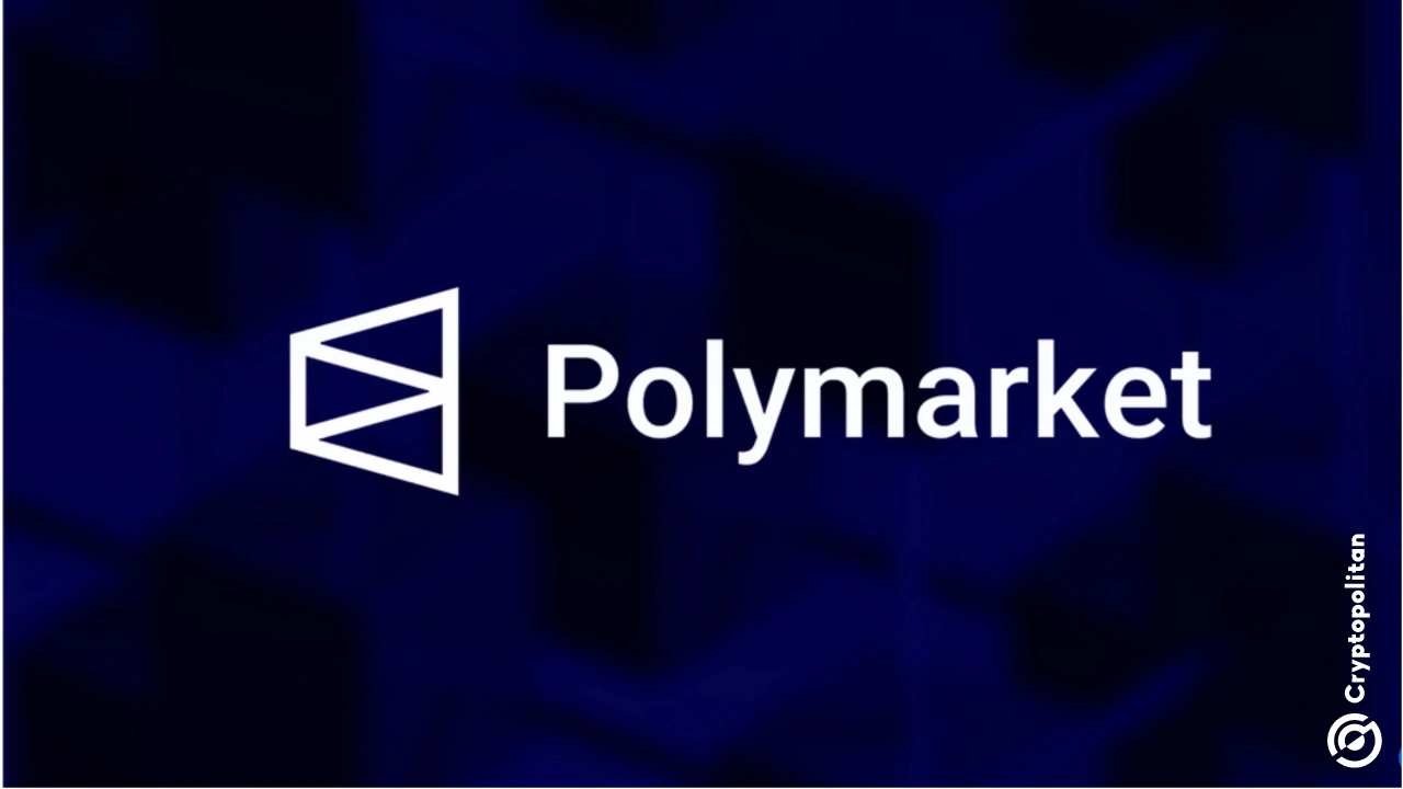 
                        独角兽估值 10 亿美元后，Polymarket 的市场份额激增
                    