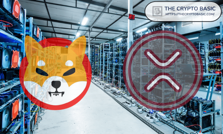 如果柴犬价格达到 XRP 历史最高市值，则为