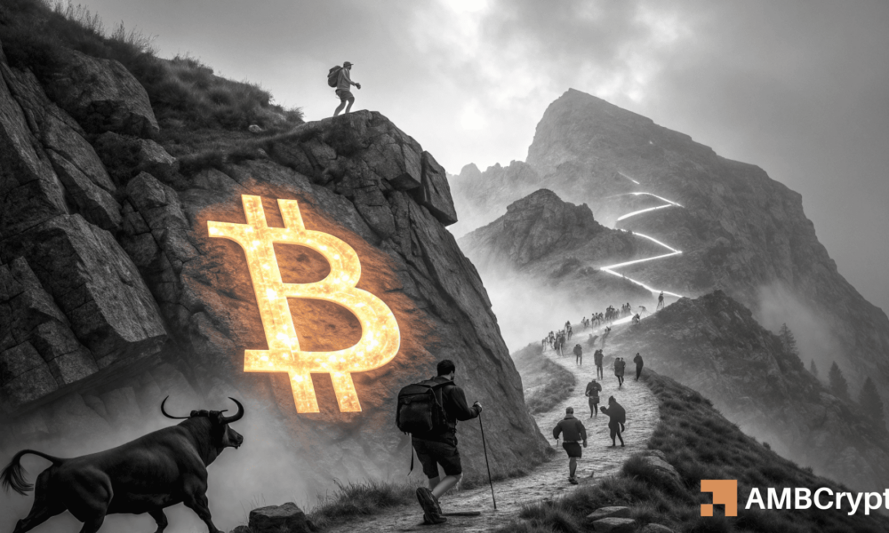比特币：尽管零售价格下跌 10%，但鲸鱼可能将 BTC 推高至 111,000 美元——如何实现？