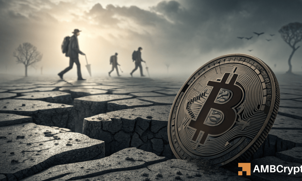 比特币会回调吗？——这些关键数据集表明……