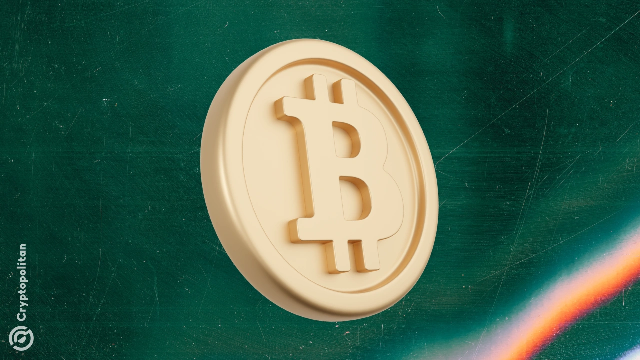 尽管估值达到峰值，但鲸鱼在 2025 年上半年仍持有 BTC