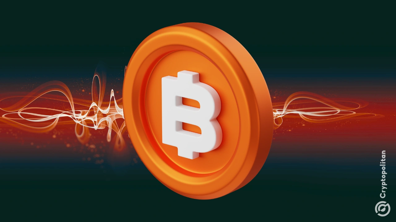 在美国加密货币周热潮中，比特币鲸鱼交易量达 20,000 BTC