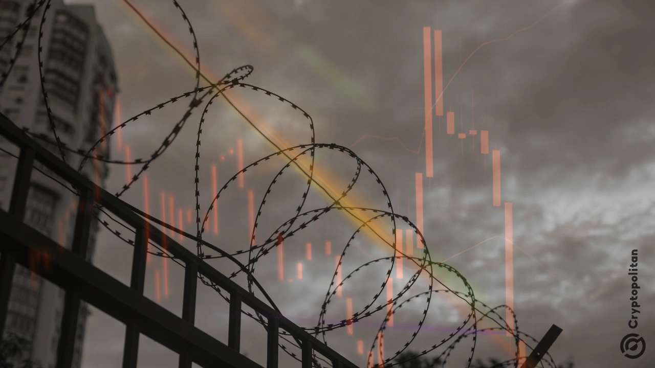 泰国已停业的 AEX 交易所创始人获保释，但闹剧尚未结束