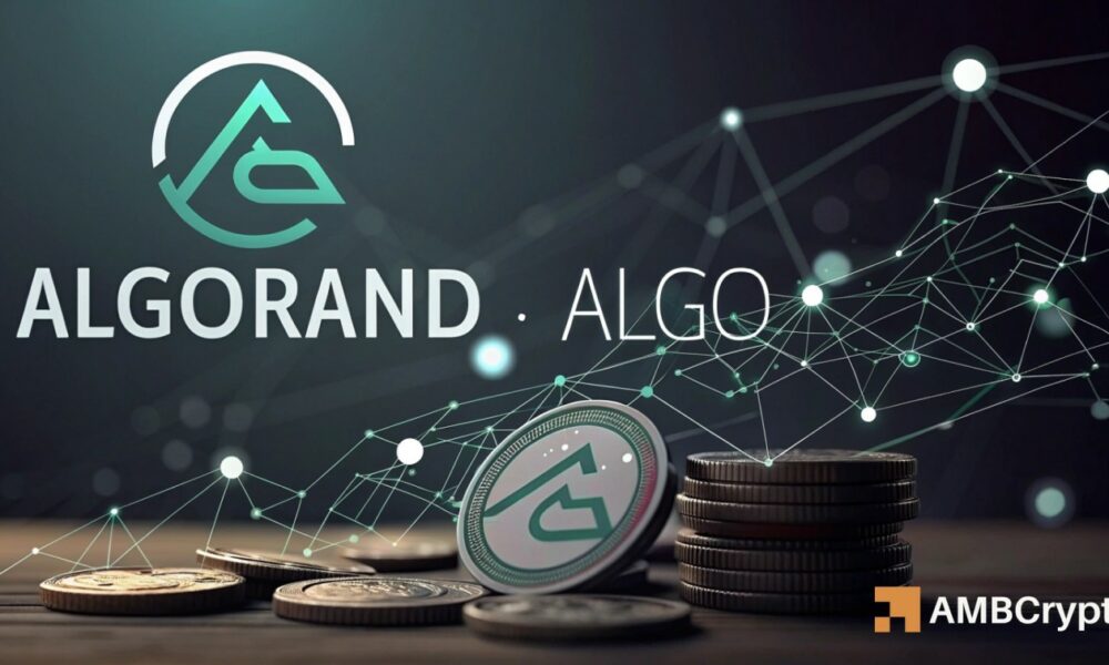 Algorand 的采用率激增 62%——有可能突破 0.19 美元吗？