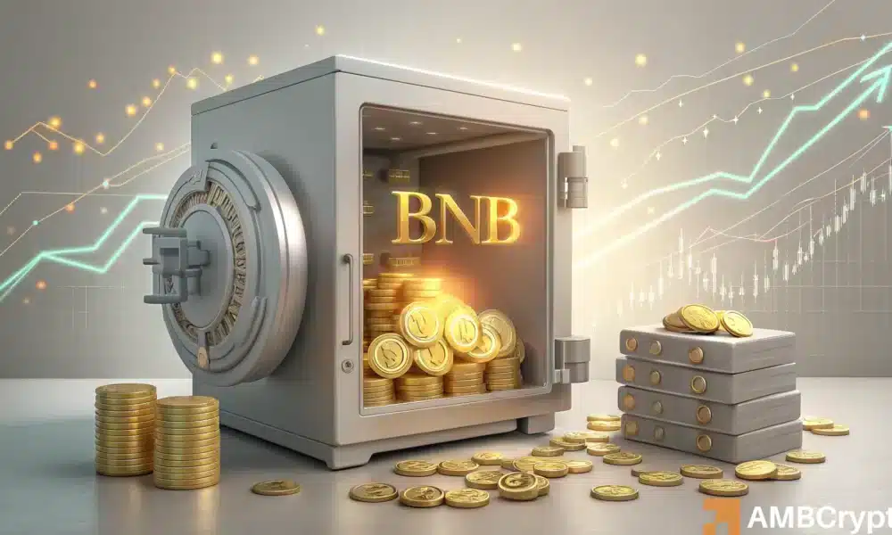 Nano Labs 押注 5000 万美元 BNB，瞄准 10 亿美元加密货币宝库