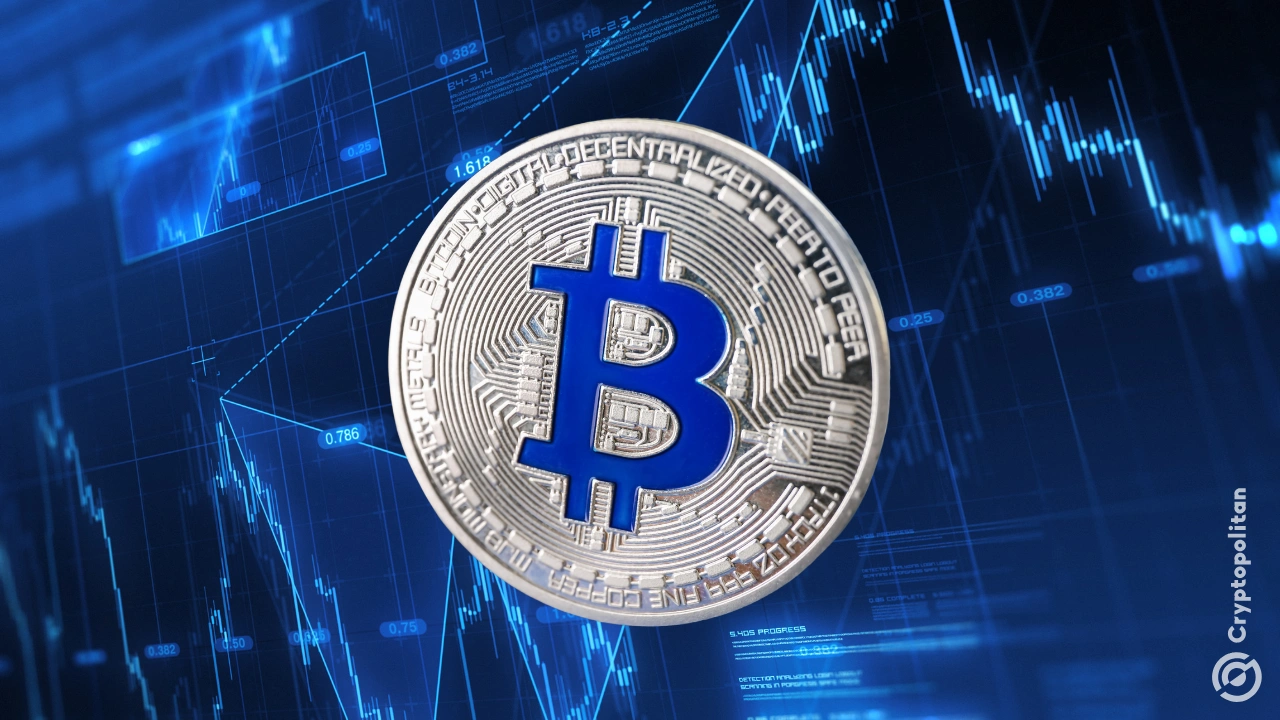 比特币波动率跌至20个月低点，现货ETF流入接近500亿美元