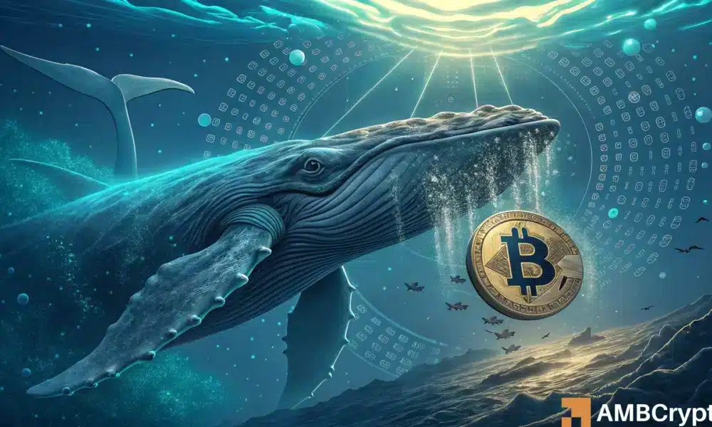 比特币——86.9 亿美元 BTC 交易：为何鲸鱼行为引发质疑？