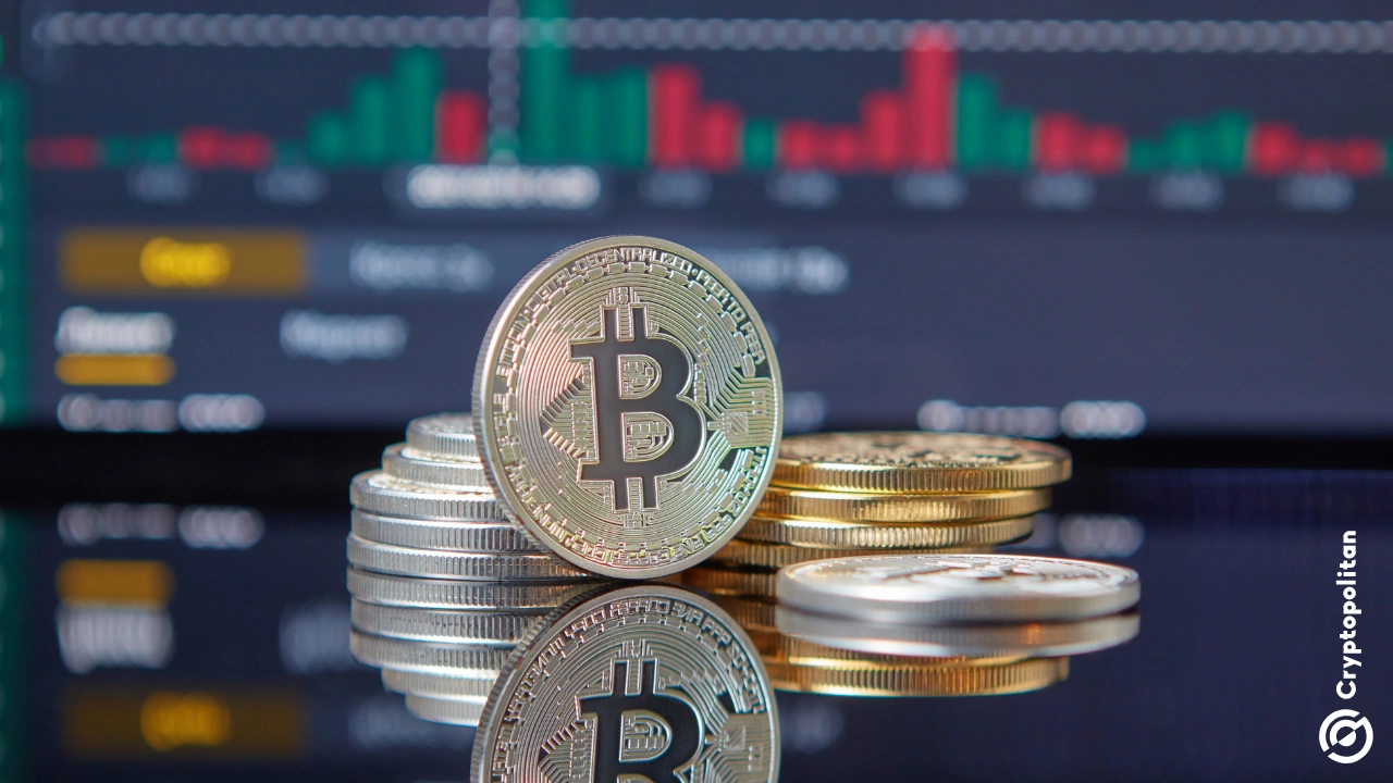 比特币多头有望在 2025 年下半年突破多个历史新高