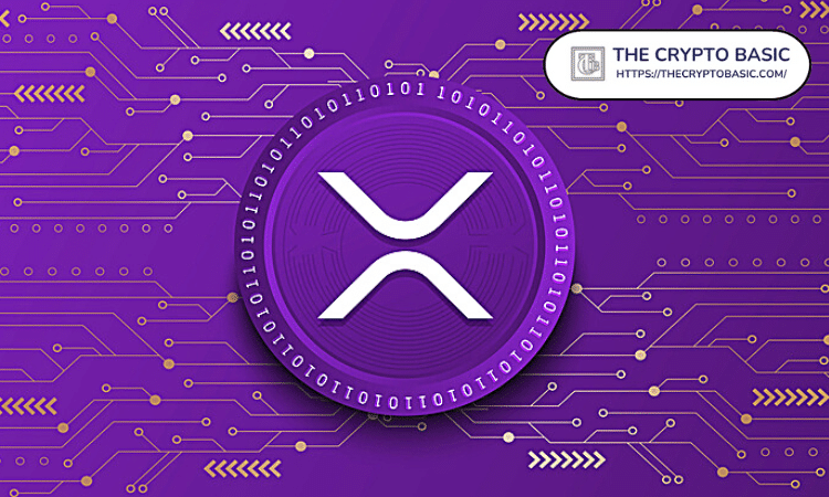 15 年后，5,000 美元和 15,000 美元的 XRP 价值几何？