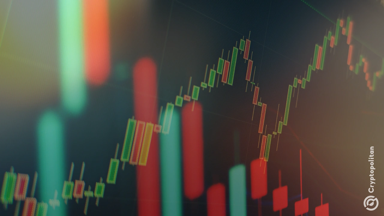 凯西&middot;伍德的方舟基金计划通过&ldquo;饮食ETF&rdquo;重返股市