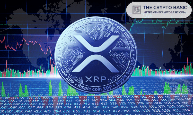 XRP 富豪榜更新：成为前 10% 持有者需要多少 XRP