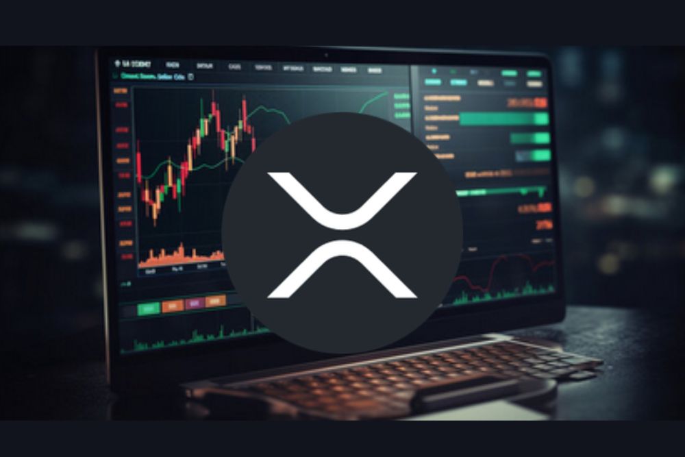 分析师警告称，XRP 价格上涨可能引发大规模空头挤压