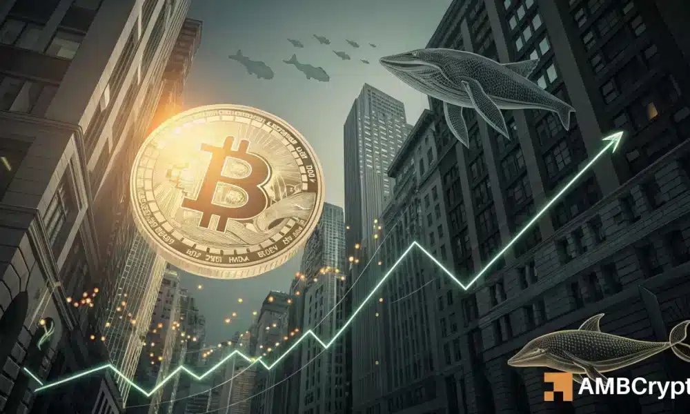 比特币供应量下降，机构买入 1.64 亿美元 BTC——价格会随之下跌吗？