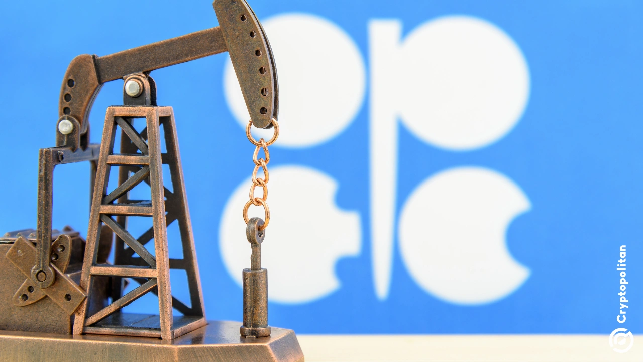 OPEC 预计到 2050 年石油需求将增长 19%，并且他们对此押注