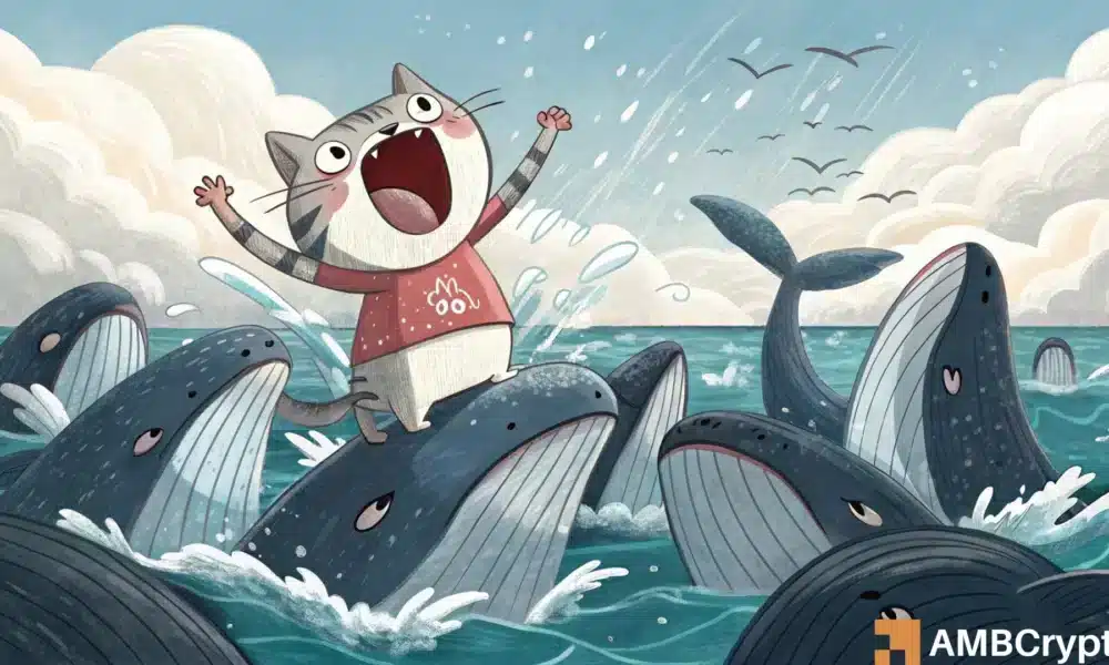 POPCAT 飙升 16%，创下三周新高 - 0.40 美元触手可及吗？
