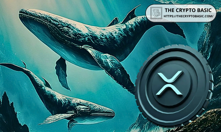 在关键决策前，2,700+ XRP 钱包持有 470 亿 XRP