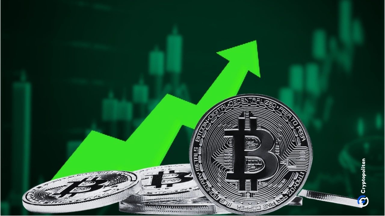 比特币首次突破 114,000 美元，期权交易员押注本月比特币将达到 120,000 美元