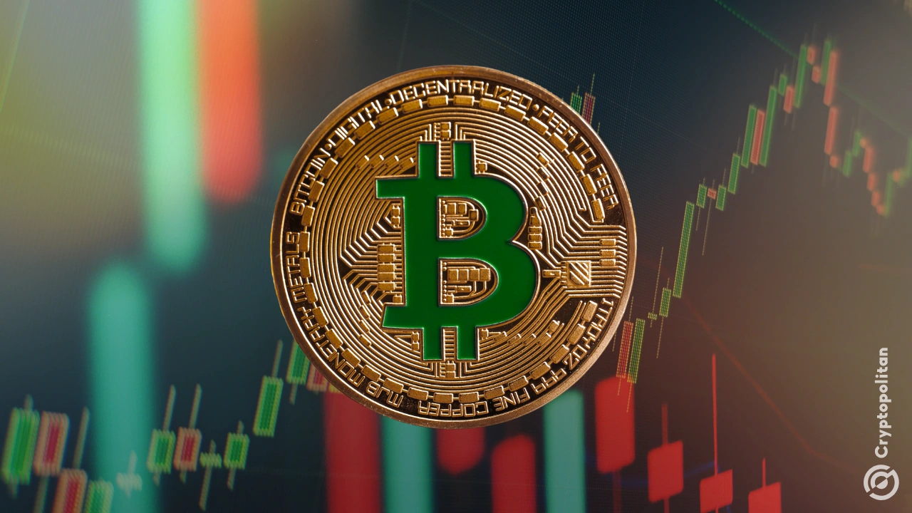 比特币ETF迎来特朗普复出以来最大资金流入