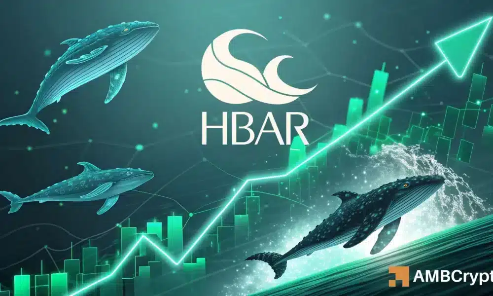 Hedera 上涨 15% &ndash; 为什么这个区间可能成为 HBAR 的下一个障碍
