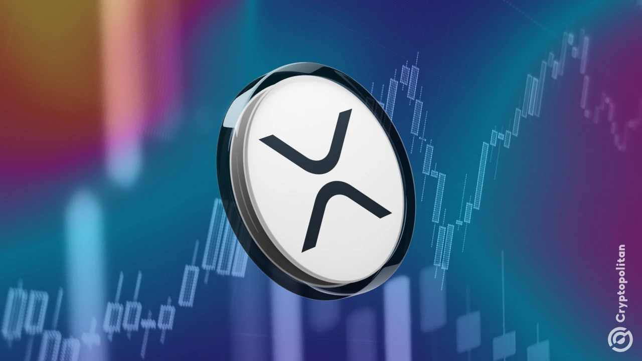 投资者关注现货产品批准，XRP 上涨推动 ETF 交易量飙升 5 倍