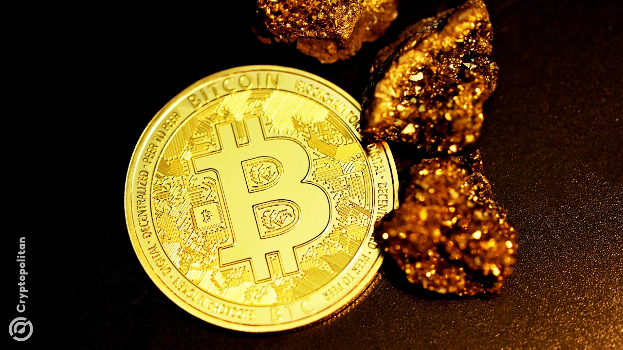 CKpool 推出低延迟矿池，单人比特币矿工赢得 3.175 BTC