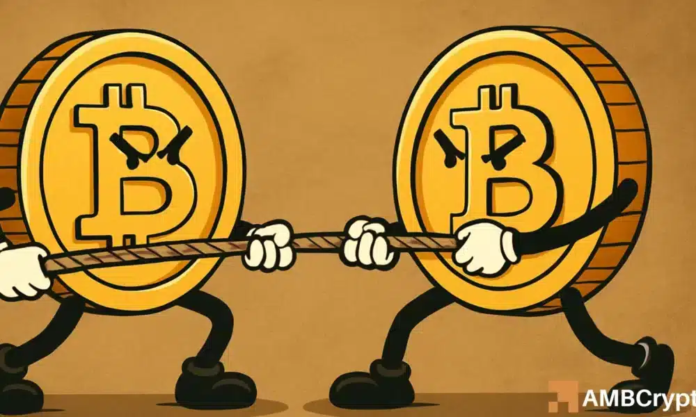 比特币：未来数周将迎来反弹？这些线索表明是的&mdash;&mdash;分析&hellip;&hellip;